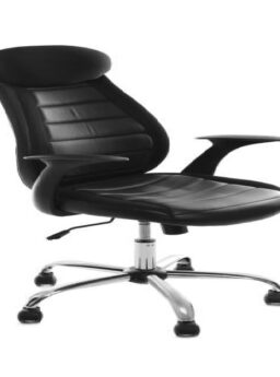 Kursi Staff Kantor, Penunjang Produktivitas dan Kenyamanan